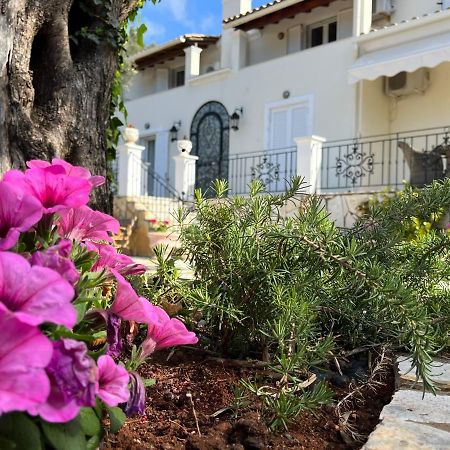 Villa Ampelaki 2 Paleokastritsa Zewnętrze zdjęcie
