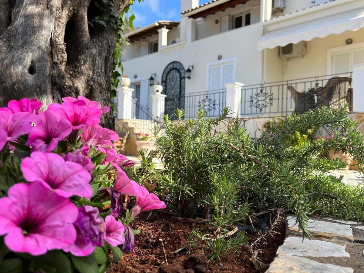 Villa Ampelaki 2 Paleokastritsa Zewnętrze zdjęcie